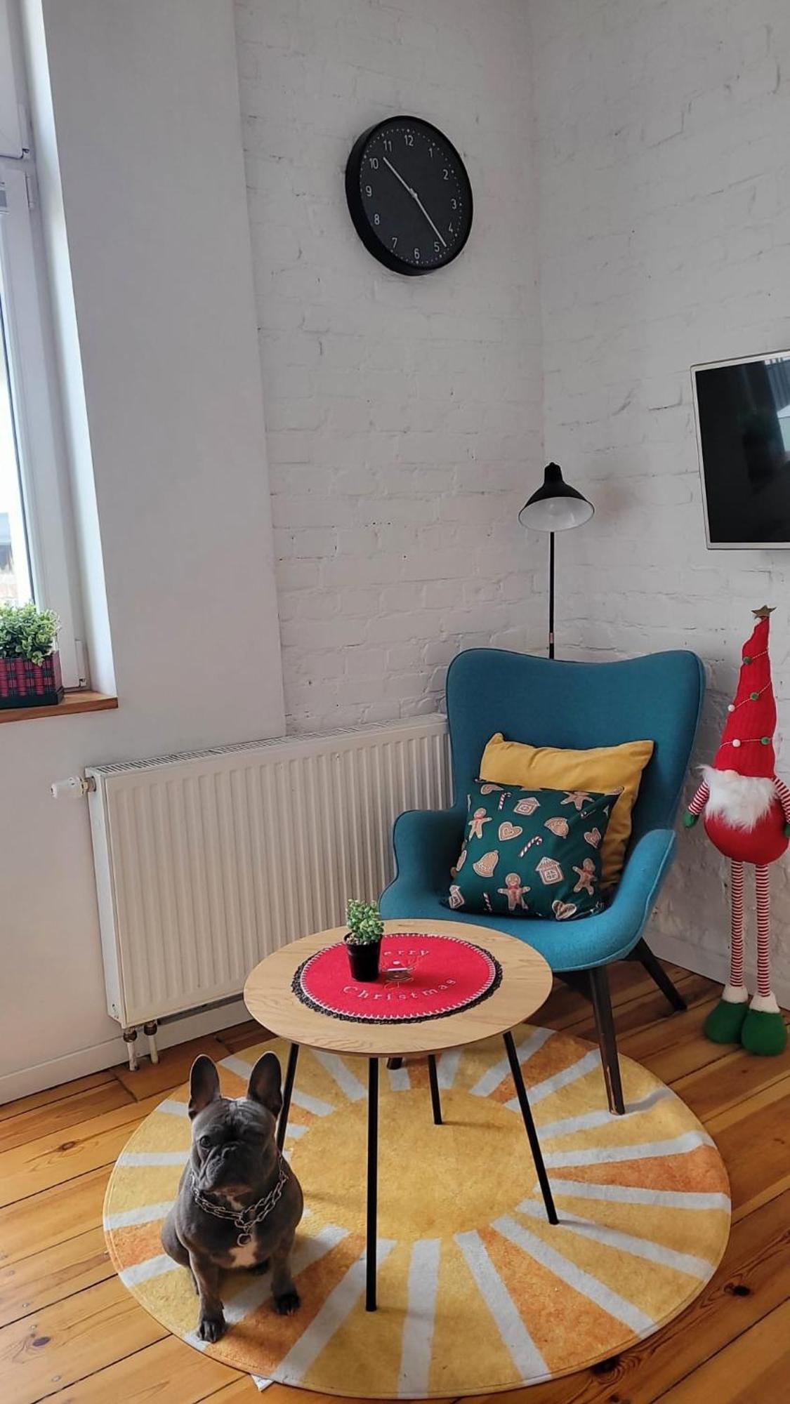 Apartament W Centrum Miasta 비드고슈치 외부 사진
